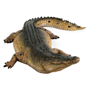 Tropical Wetlands Crocodile Sculpture