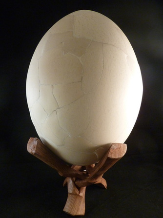 Elephant Bird Egg