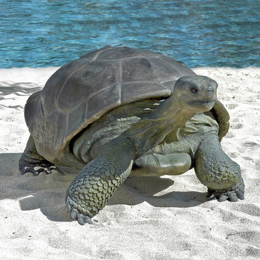 The Galapagos Tortoise Sculpture