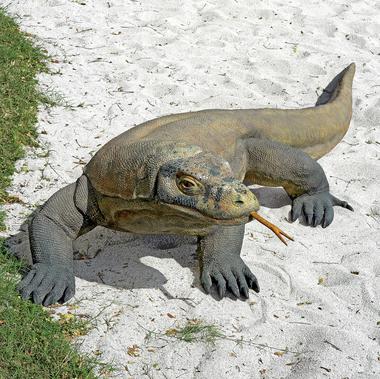 Komodo dragon Sculpture